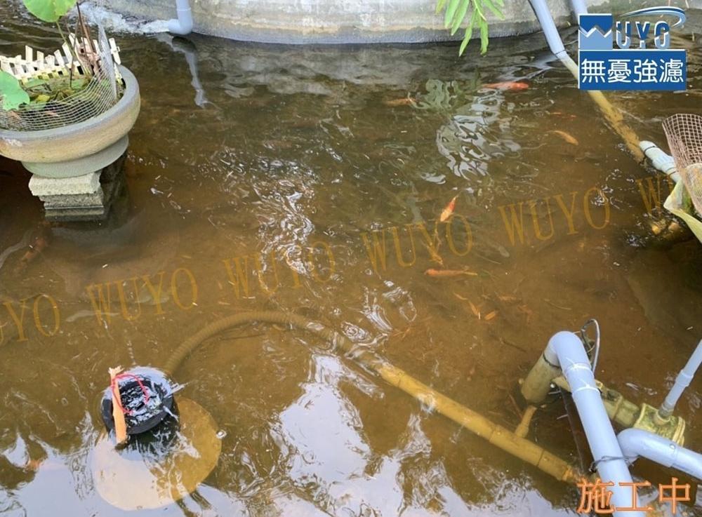 魚池過濾-桃園王小姐